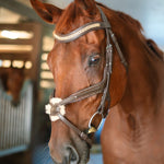 CorrectConnect Gold Accented Figure 8 Bridle with Gold Browband - CorrectConnect - Equiluxe Tack