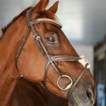 CorrectConnect Gold Accented Figure 8 Bridle with Gold Browband - CorrectConnect - Equiluxe Tack