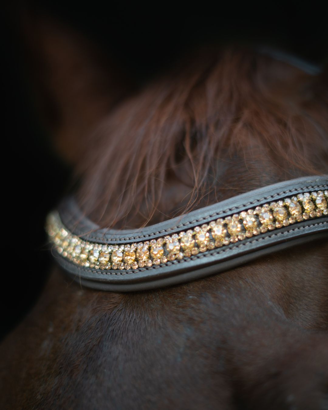CorrectConnect Gold Accented Figure 8 Bridle with Gold Browband - CorrectConnect - Equiluxe Tack