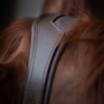 CorrectConnect Gold Accented Figure 8 Bridle with Gold Browband - CorrectConnect - Equiluxe Tack