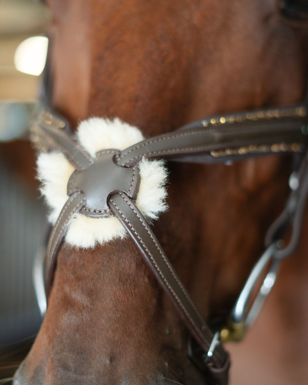 CorrectConnect Gold Accented Figure 8 Bridle with Gold Browband - CorrectConnect - Equiluxe Tack