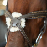 CorrectConnect Gold Accented Figure 8 Bridle with Gold Browband - CorrectConnect - Equiluxe Tack