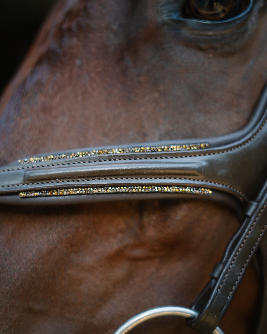 CorrectConnect Gold Accented Figure 8 Bridle with Gold Browband - CorrectConnect - Equiluxe Tack