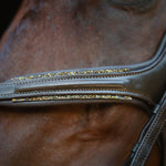 CorrectConnect Gold Accented Figure 8 Bridle with Gold Browband - CorrectConnect - Equiluxe Tack