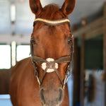 CorrectConnect Gold Accented Figure 8 Bridle with Gold Browband - CorrectConnect - Equiluxe Tack