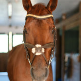 CorrectConnect Gold Accented Figure 8 Bridle with Gold Browband - CorrectConnect - Equiluxe Tack
