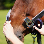 CorrectConnect Magna Halter ™ in Black with Fleece Noseband and Leather Breakaway - CorrectConnect - Equiluxe Tack