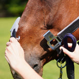 CorrectConnect Magna Halter ™ in Black with Fleece Noseband and Leather Breakaway - CorrectConnect - Equiluxe Tack