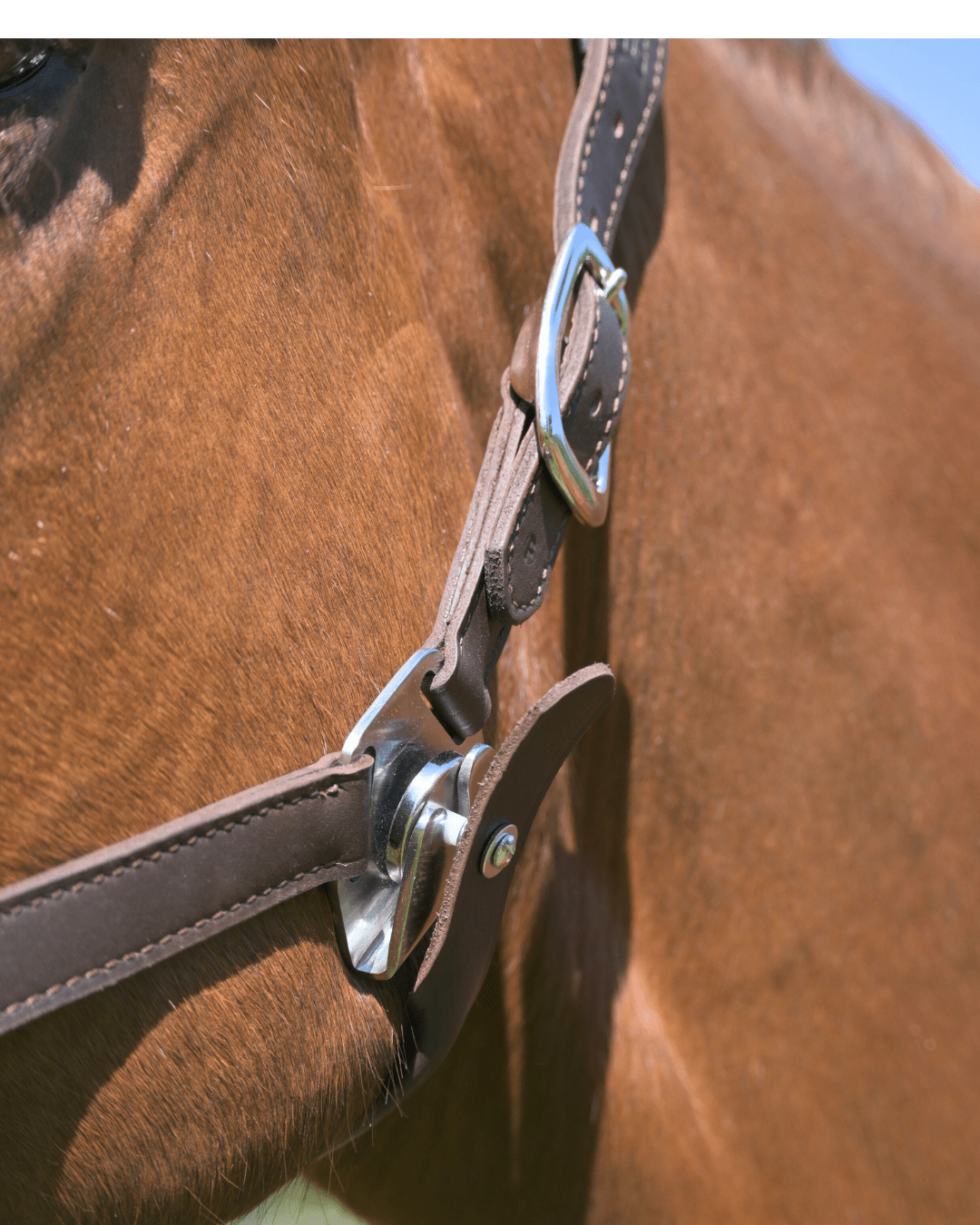 CorrectConnect Magna Halter ™ in Black with Fleece Noseband and Leather Breakaway - CorrectConnect - Equiluxe Tack