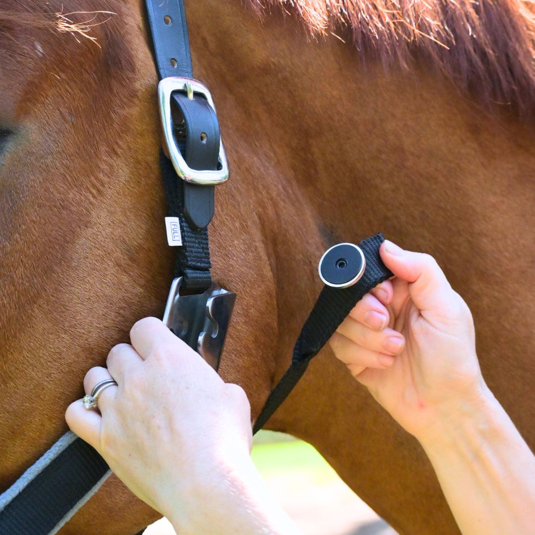 CorrectConnect Magna Halter ™ in Black with Fleece Noseband and Leather Breakaway - CorrectConnect - Equiluxe Tack
