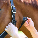 CorrectConnect Magna Halter ™ in Black with Fleece Noseband and Leather Breakaway - CorrectConnect - Equiluxe Tack