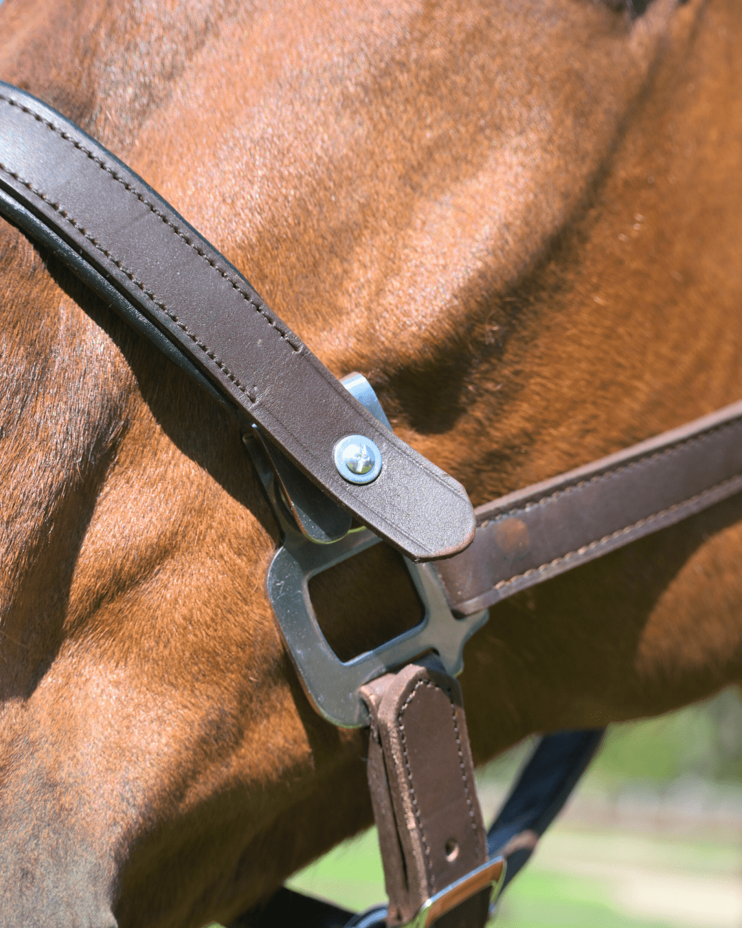 CorrectConnect Magna Halter ™ in Black with Fleece Noseband and Leather Breakaway - CorrectConnect - Equiluxe Tack