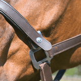 CorrectConnect Magna Halter ™ in Black with Fleece Noseband and Leather Breakaway - CorrectConnect - Equiluxe Tack