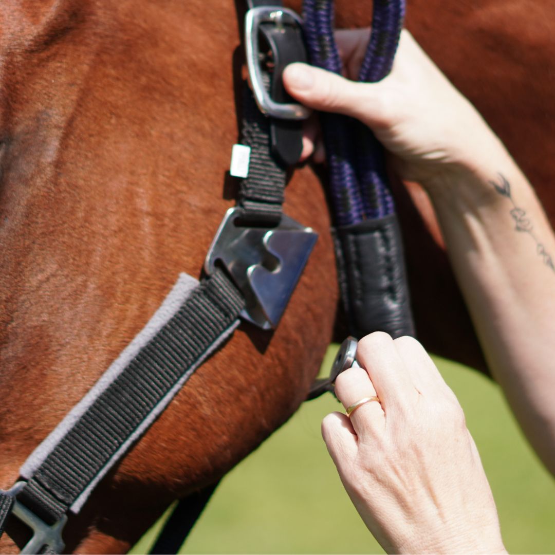 CorrectConnect Magna Halter ™ in Black with Fleece Noseband and Leather Breakaway - CorrectConnect - Equiluxe Tack
