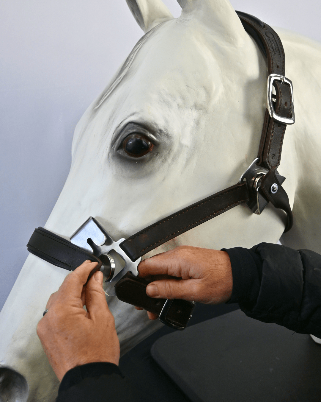 CorrectConnect Magna Halter ™ in Black With Leather Breakaway - CorrectConnect - Equiluxe Tack