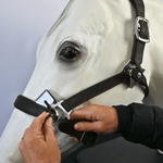 CorrectConnect Magna Halter ™ in Black With Leather Breakaway - CorrectConnect - Equiluxe Tack