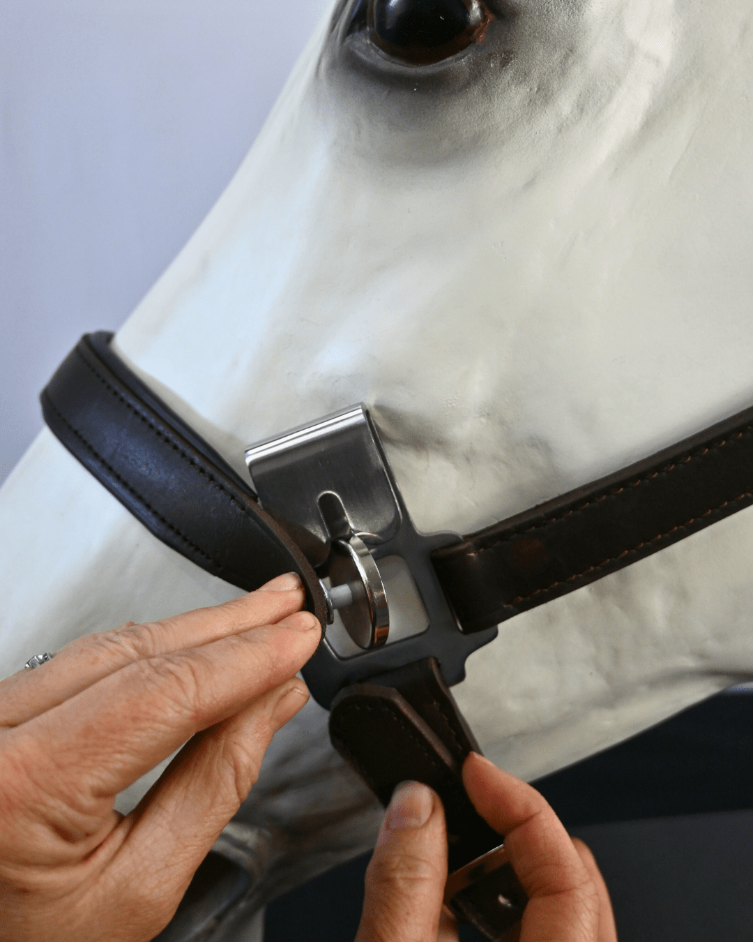 CorrectConnect Magna Halter ™ in Black With Leather Breakaway - CorrectConnect - Equiluxe Tack