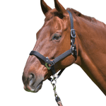 CorrectConnect Magna Halter ™ in Black With Leather Breakaway - CorrectConnect - Equiluxe Tack