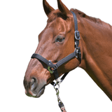CorrectConnect Magna Halter ™ in Black With Leather Breakaway - CorrectConnect - Equiluxe Tack