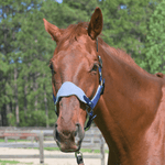 CorrectConnect Magna Halter ™ in Blue with Fleece and Leather Breakaway - CorrectConnect - Equiluxe Tack