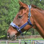 CorrectConnect Magna Halter ™ in Blue with Fleece and Leather Breakaway - CorrectConnect - Equiluxe Tack