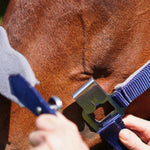 CorrectConnect Magna Halter ™ in Blue with Fleece Noseband and Leather Breakaway - CorrectConnect - Equiluxe Tack