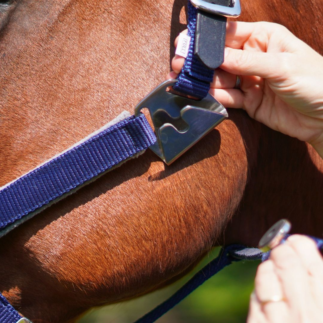 CorrectConnect Magna Halter ™ in Blue with Fleece Noseband and Leather Breakaway - CorrectConnect - Equiluxe Tack