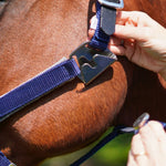 CorrectConnect Magna Halter ™ in Blue with Fleece Noseband and Leather Breakaway - CorrectConnect - Equiluxe Tack
