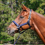 CorrectConnect Magna Halter ™ in Blue with Leather Breakaway - CorrectConnect - Equiluxe Tack