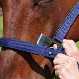 CorrectConnect Magna Halter ™ in Blue with Leather Breakaway - CorrectConnect - Equiluxe Tack