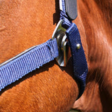 CorrectConnect Magna Halter ™ in Blue with Leather Breakaway - CorrectConnect - Equiluxe Tack