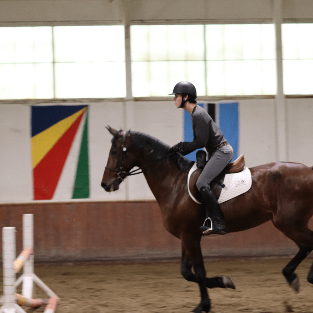 CorrectConnect Sally Batton Pommel Blocker - CorrectConnect - Equiluxe Tack
