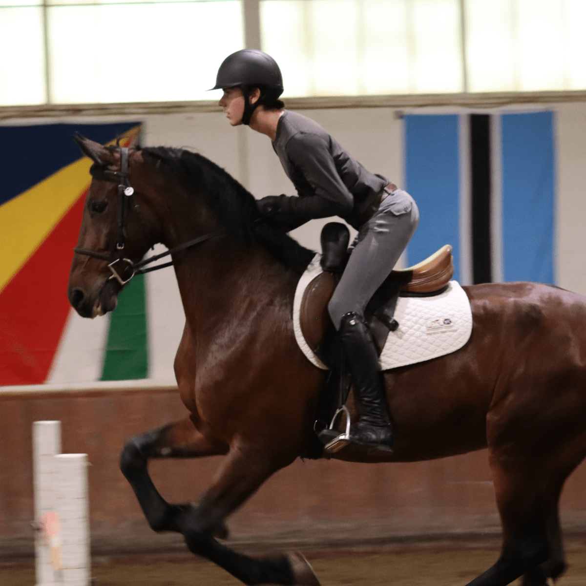 CorrectConnect Sally Batton Pommel Blocker - CorrectConnect - Equiluxe Tack
