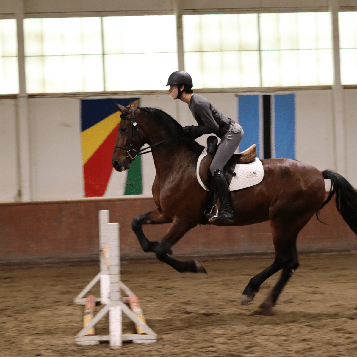 CorrectConnect Sally Batton Pommel Blocker - CorrectConnect - Equiluxe Tack