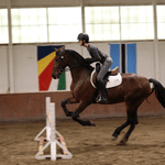 CorrectConnect Sally Batton Pommel Blocker - CorrectConnect - Equiluxe Tack