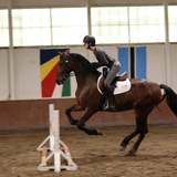 CorrectConnect Sally Batton Pommel Blocker - CorrectConnect - Equiluxe Tack