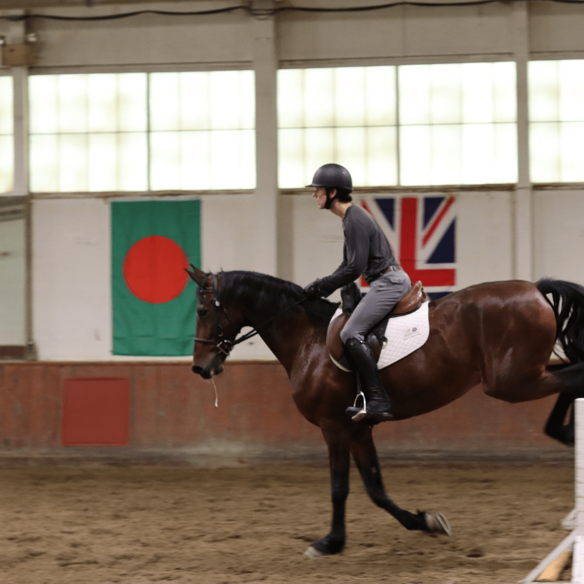 CorrectConnect Sally Batton Pommel Blocker - CorrectConnect - Equiluxe Tack