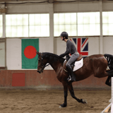 CorrectConnect Sally Batton Pommel Blocker - CorrectConnect - Equiluxe Tack