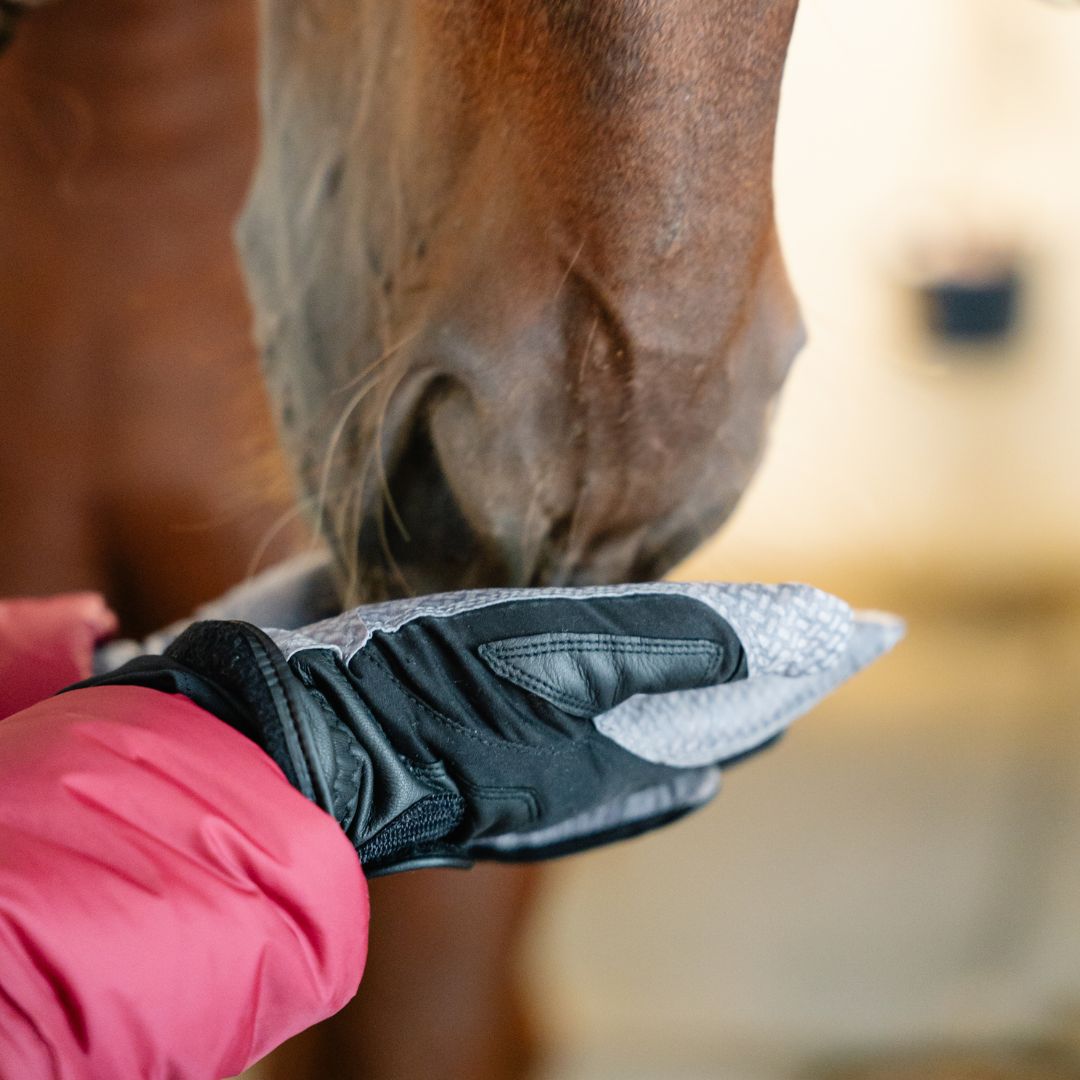 CorrectConnect Winter Oil - Tac Copper Tech™️ Compression Glove - CorrectConnect - Equiluxe Tack