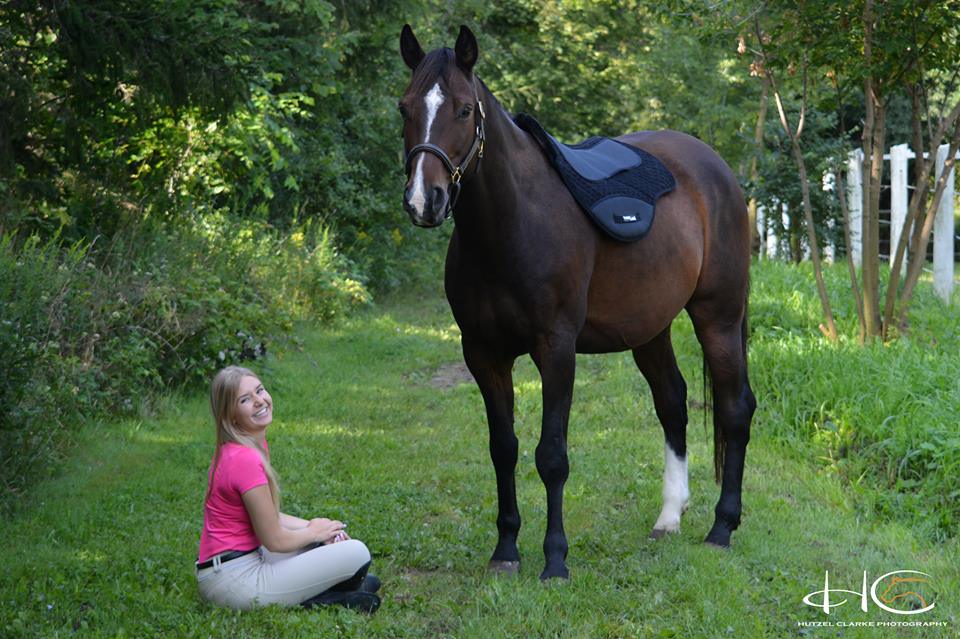 Cotton Endurance Drop Rigging Saddle Pad - Equiluxe Tack - Equiluxe Tack