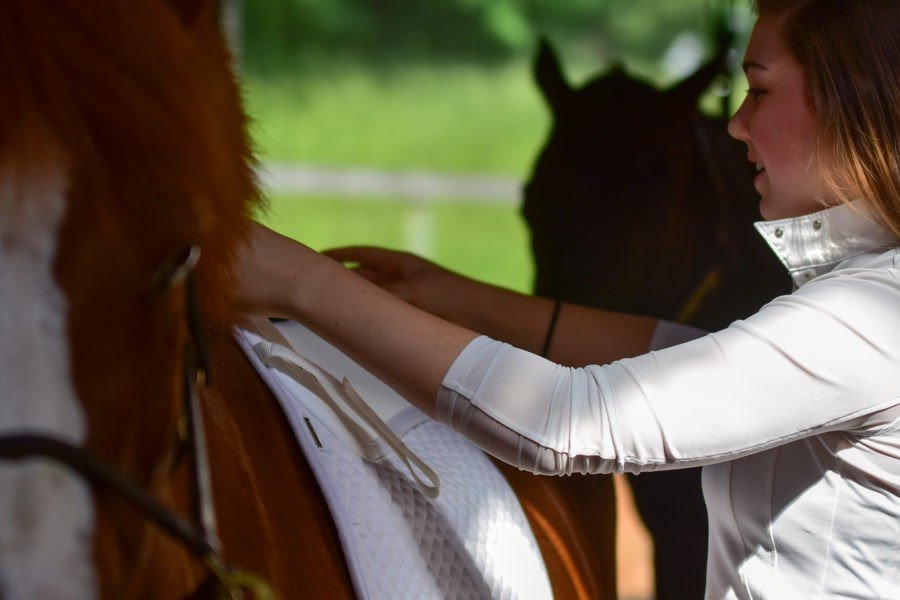 Cotton Quilted Saddle Pads - Equiluxe Tack - Equiluxe Tack