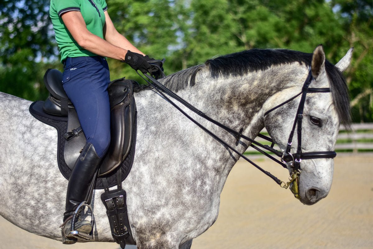 Cotton Quilted Saddle Pads - Equiluxe Tack - Equiluxe Tack