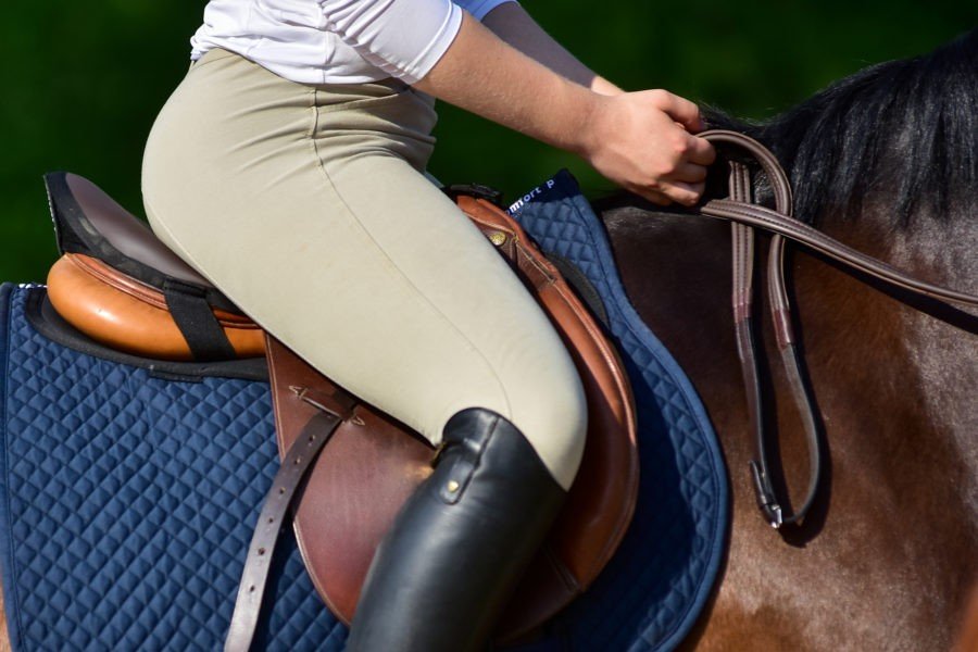 Cotton Quilted Saddle Pads - Equiluxe Tack - Equiluxe Tack