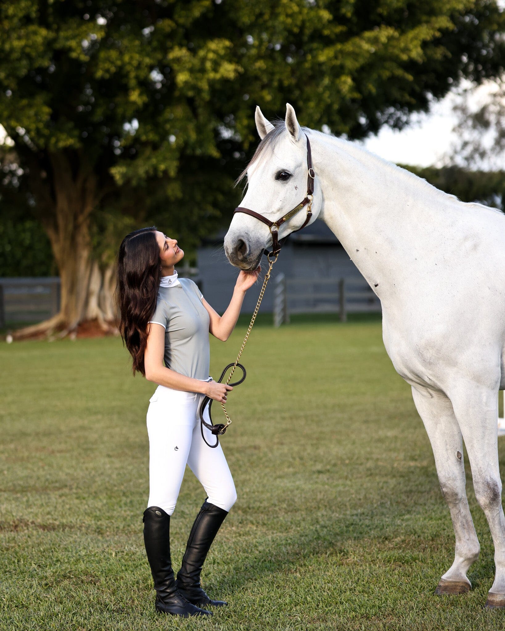 CRINIĒRE Bella Short Sleeve Show Shirt | Dove Gray - C R I N I Ē R E - Equiluxe Tack