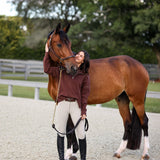 CRINIĒRE Claire Sweater | Mocha - C R I N I Ē R E - Equiluxe Tack