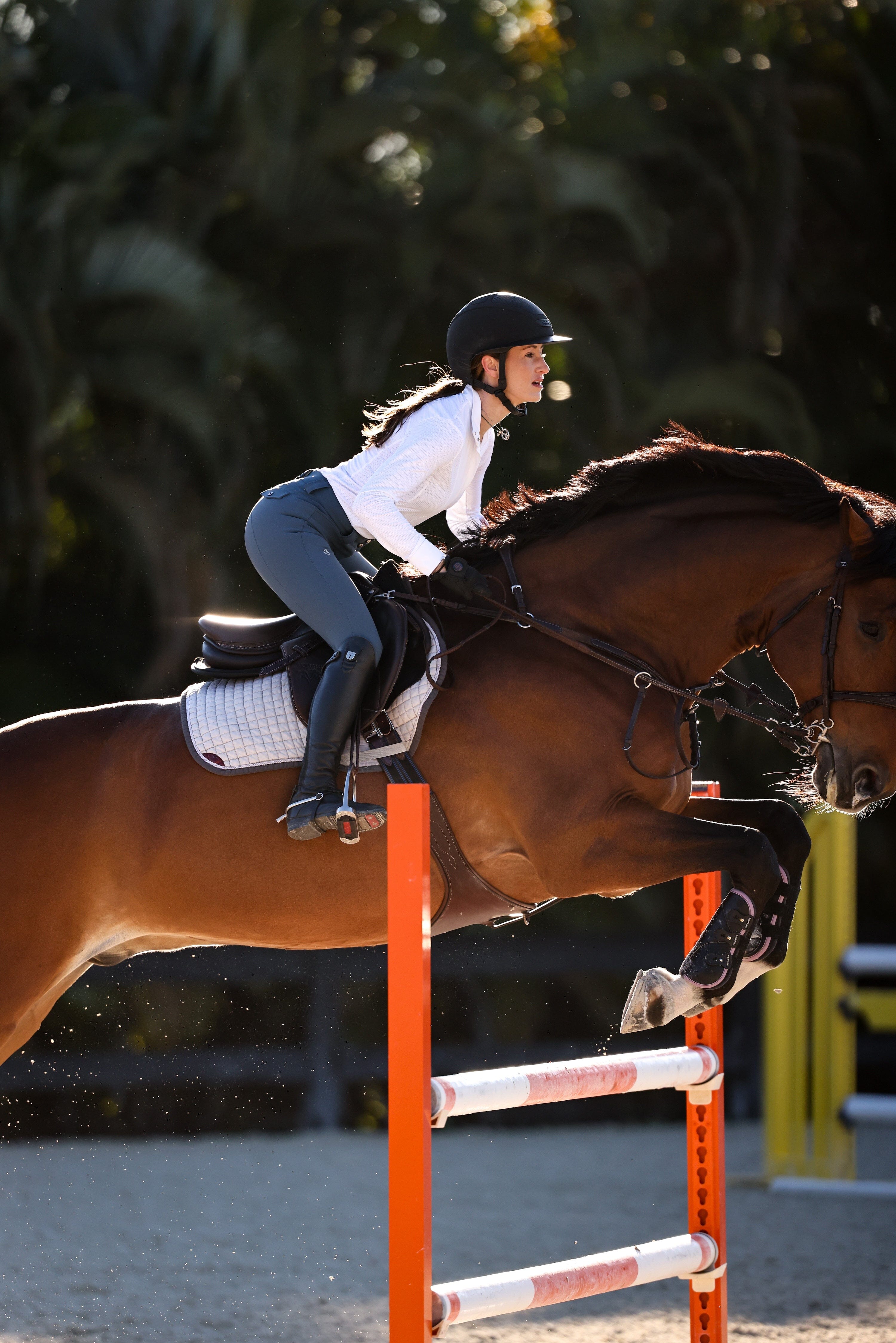 CRINIERE Helen Show Shirt | Snow White - CriniereLife - Equiluxe Tack