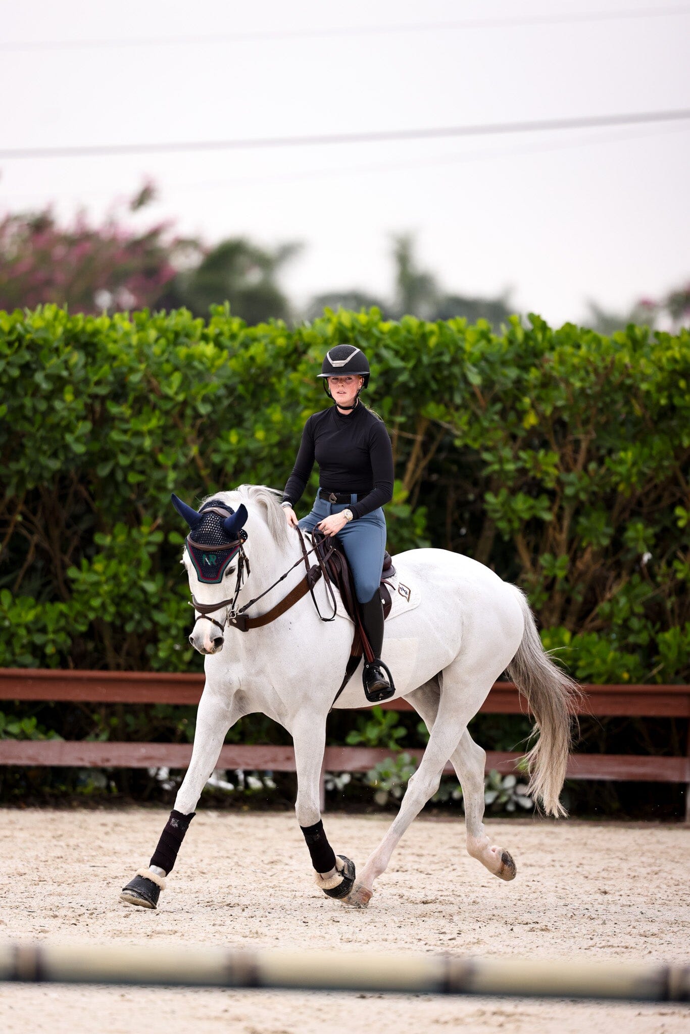 CRINIĒRE Kai Shirt Classic | Black - C R I N I Ē R E - Equiluxe Tack