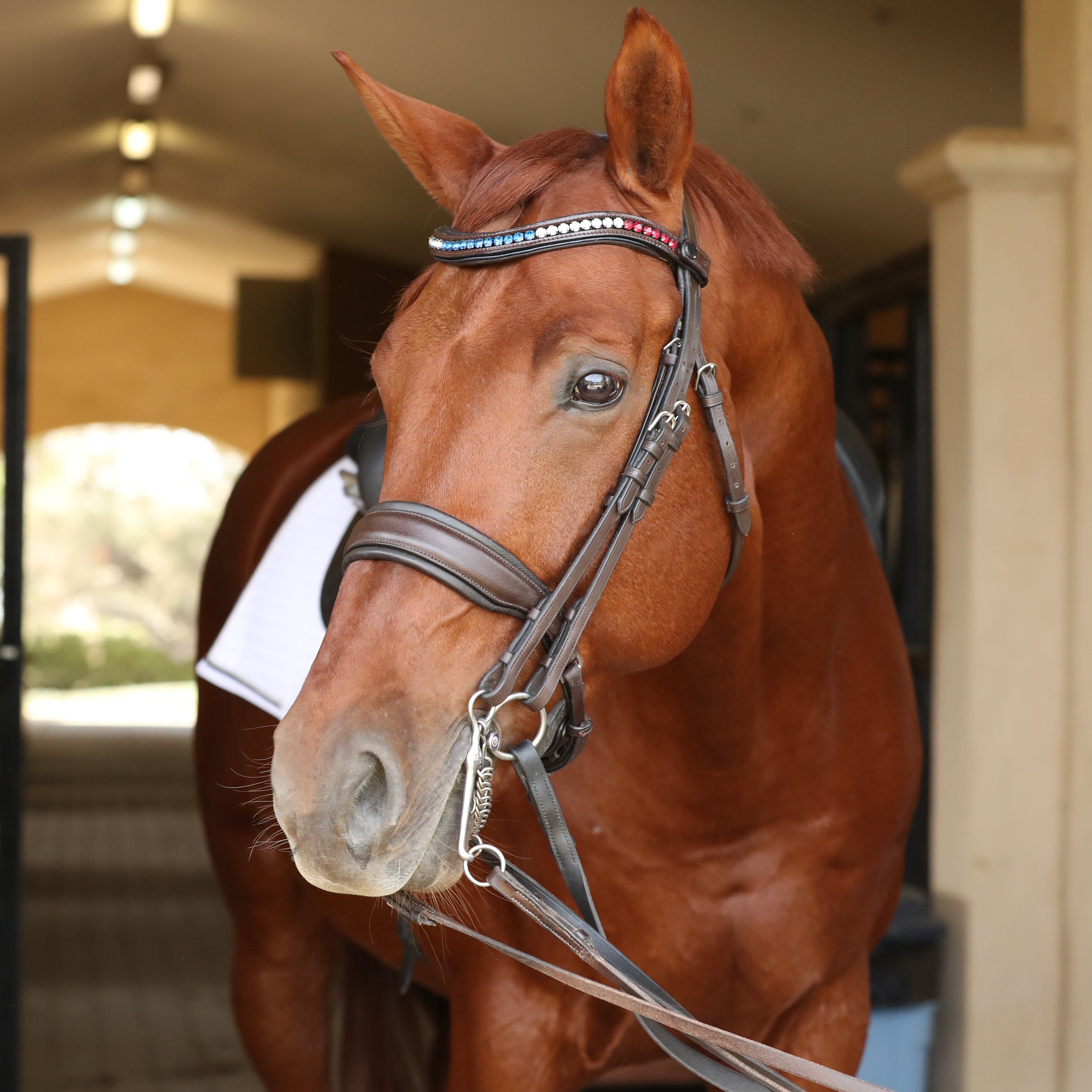 Crystal Browband - Americana 2 - Halter Ego® - Equiluxe Tack