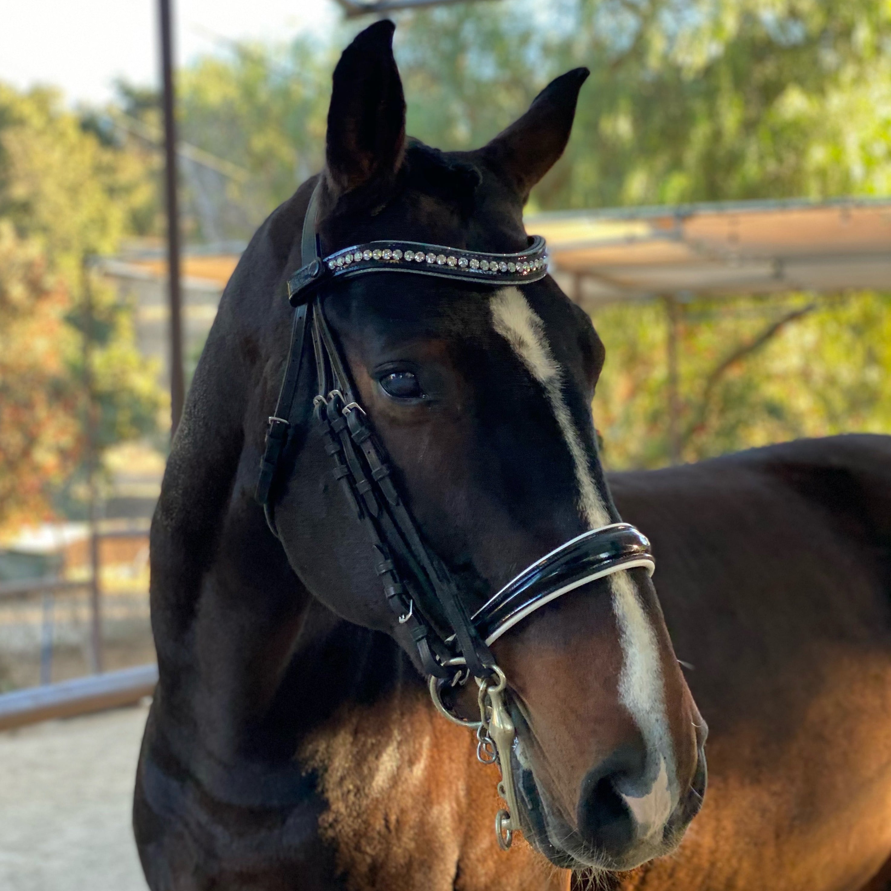 Crystal Patent Browband - Blue Frost - Halter Ego® - Equiluxe Tack