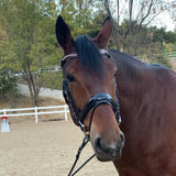 Crystal Patent Browband - Glittering Rose - Halter Ego® - Equiluxe Tack